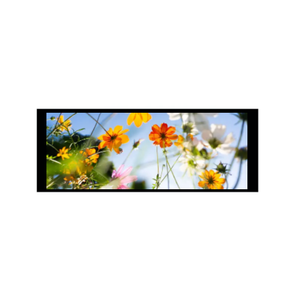 6.86 လက်မ 480 × 1280 IPS TFT Module